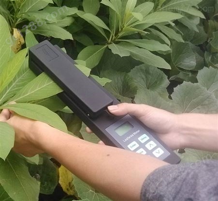 LAM-B活体叶面积测定仪 植物叶片测量仪