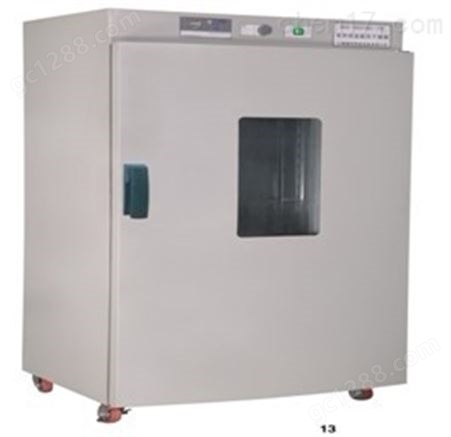 高温烘箱 DGX-8243B数显鼓风干燥箱400℃