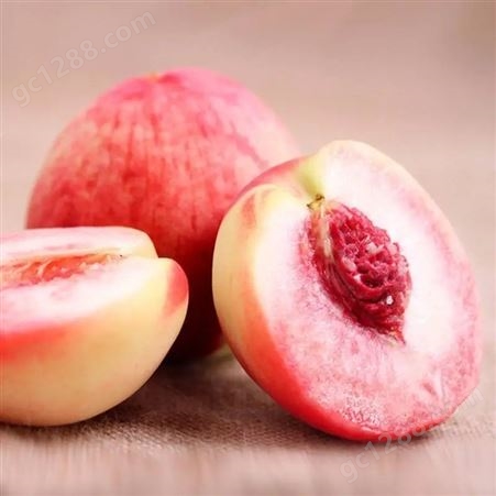 现摘现发新鲜水果水蜜桃 脆甜应季毛桃子孕妇可吃