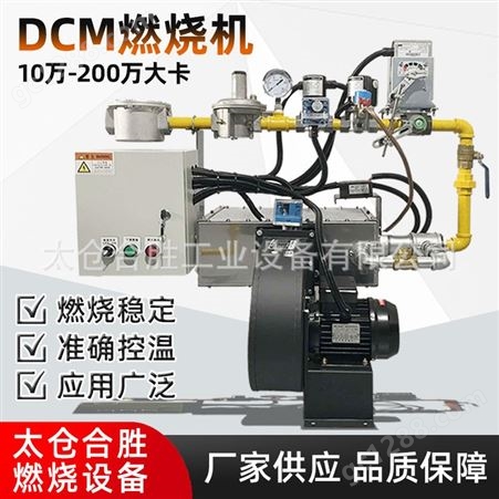 DCM燃烧器日本正英SHOEI线型DCM天然气燃烧机工业烘干锅炉液化汽燃气燃烧器